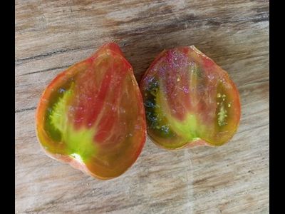 Томат Волшебная Радуга