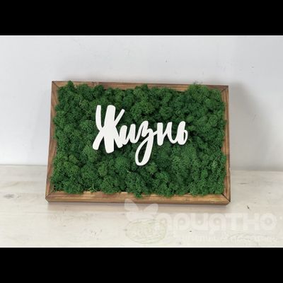 ЖИВАЯ ЭКО-КАРТИНА 1051