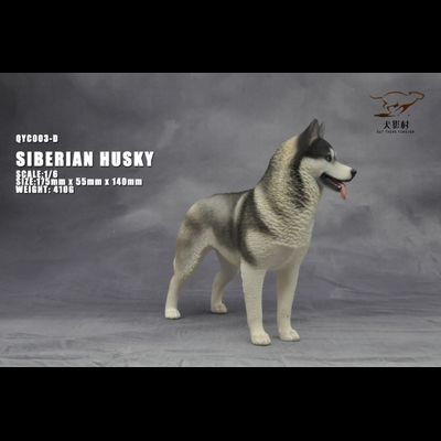 Сибирская хаски (серая) - Коллекционная ФИГУРКА 1/6 scale Husky (QYC003D) - QuanYingCun