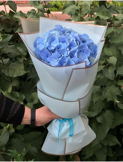 Моно букет из гортензии