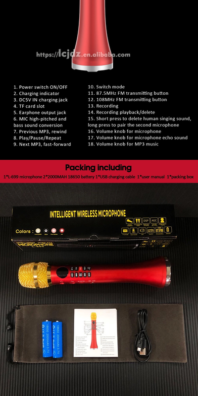 Профессиональный караоке-микрофон L-699 DSP  20w