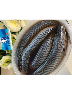 Скумбрия Атлантическая слабосоленая. Цена за кг