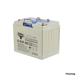 Тяговый аккумулятор RuTrike 6-EVF-80 (12V80A/H C3)