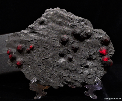 Гранат альмандин-пироповой серии с кристаллами дравита (разн. турмалина) в графитовом сланце. Red Embers mine. USA. 160*120*15мм. Редкость! (ААА)