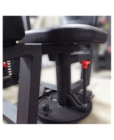 Торс машина 60 кг AV221/80