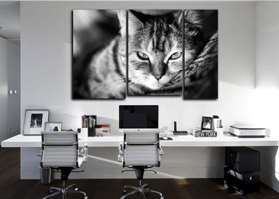 Модульная картина "Кошачье блаженство"