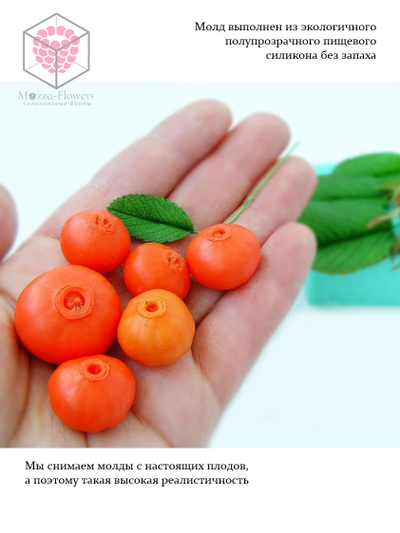 "Шиповник декоративный" Силиконовый молд