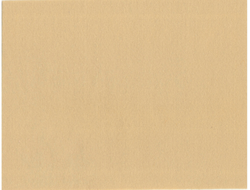 Фетр 1 мм 20х30 см мягкий  цвет CH641  бежевый