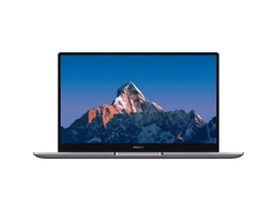 HUAWEI MateBook B3-520 (BDZ-WDH9A)