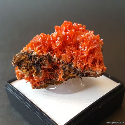 Крокоит — кристаллы на породе в пластиковом боксе. ААА