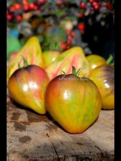 Томат Пленительное Сердце, 10 шт