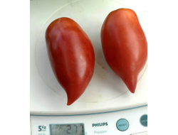 Томат Корейский длинноплодный