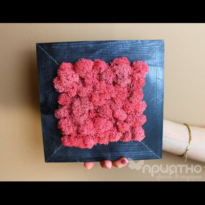 ЖИВАЯ ЭКО-КАРТИНА 1089