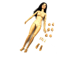 ТЕЛО И ГОЛОВА 1/6 ASIAN YOUTHFUL BEAUTY HEAD SCULPT + VC 3.0 FEMALE BODY SET (FX010) - VERYCOOL