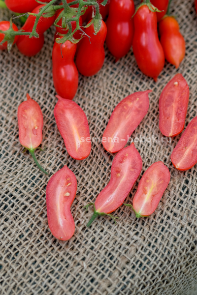 Томат Pelino 2014 (Пелино 2014), 7 шт