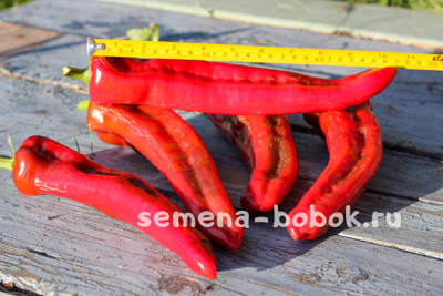 Перец сладкий The Godfather (Крестный Отец), 10 шт