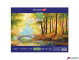 Холст на картоне BRAUBERG ART CLASSIC, 40×50 см, грунтованный, 100% хлопок, мелкое зерно.      190622