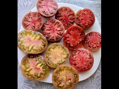 Томат Гном Малиновая нерка (Dwarf Crimson Sockeye)