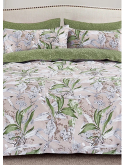 Постельное белье Cleo евро сатин 200х220х1 220х240х1 50х70х2 70х70х2 31/756-SL