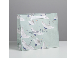 Пакет крафтовый "Special for you", 27х23х11,5см