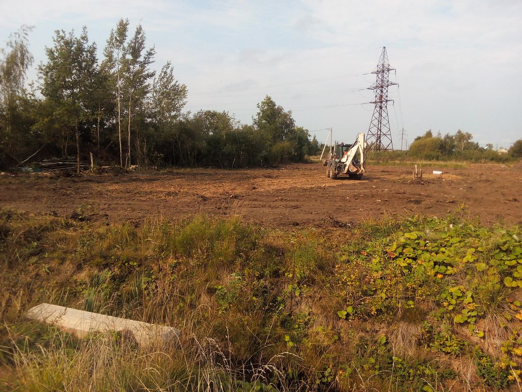 Расчистка участка от деревьев и кустарника