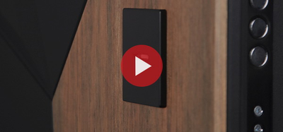 Стальная дверь   Макс 3D с зеркалом (биометрический замок Y12). Заказная модель.