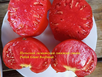 Томат Польский гигантский говяжий стейк (Polish Giant Beefsteak)