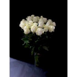 Роза Эквадор белая Мондиаль 60 см. 25 шт