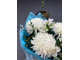 Букет белых хризантем "Голубая лагуна"