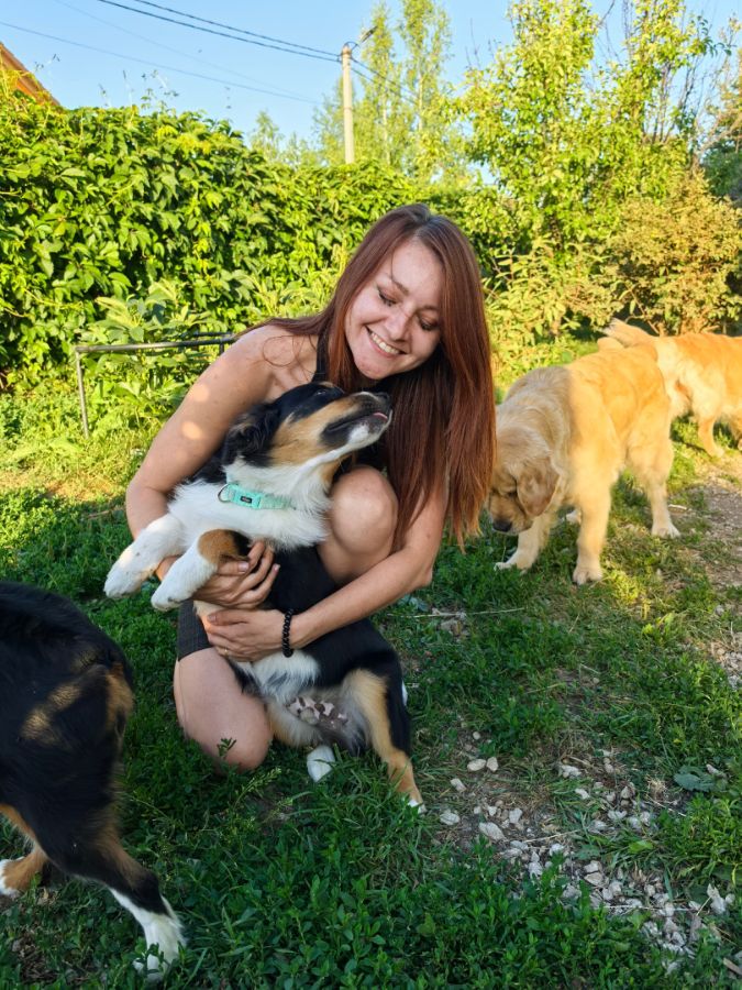 ГАРДИАН ЭНДЖЕЛ БАЙ БАУЭР 