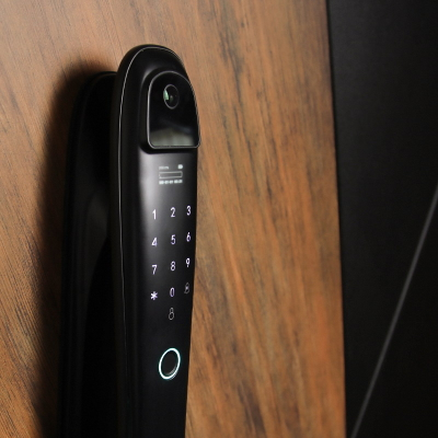 Стальная дверь   Loft с зеркалом (биометрический замок)