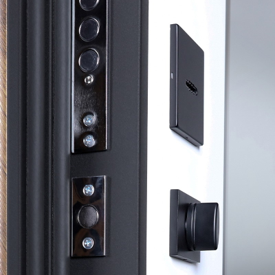 Стальная дверь   Plata с зеркалом (биометрический замок Smart lock Y12)