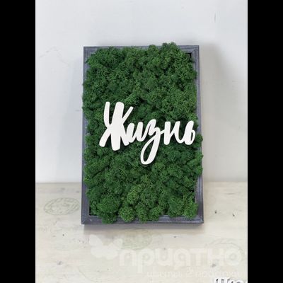 ЖИВАЯ ЭКО-КАРТИНА 1054