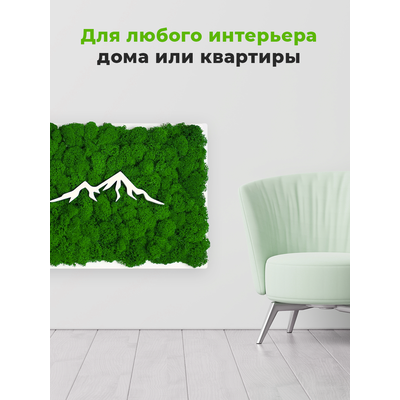 ЖИВАЯ ЭКО-КАРТИНА 1037