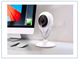 Видеоняня /WiFi видеокамера панорамная с DVR (fishEC8 белая), HD