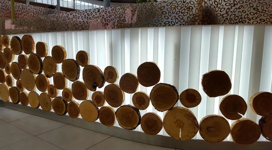 Декор на фудкорте спилами разных пород дерева, МЕГА Теплый Стан, г.Москва.