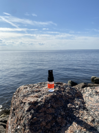 Духи НОТА: ЖЕНСКОЕ ВНИМАНИЕ, 2.5 мл