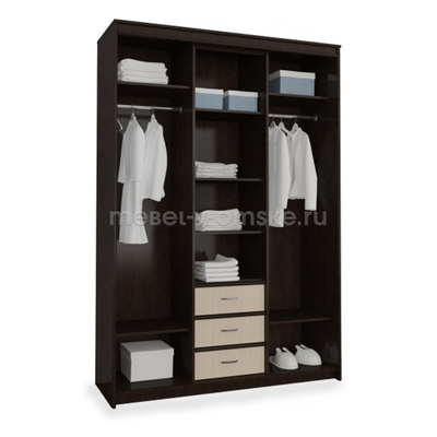 Шкаф-купе Карина 1,5