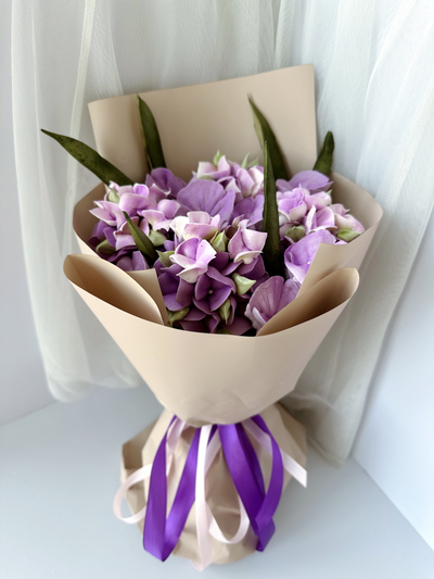 Пурпурная гортензия