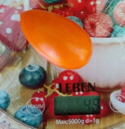 Томат Елисей