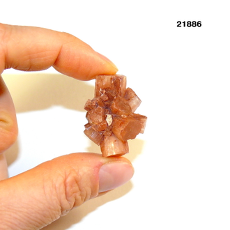 Арагонит натуральный (кристалл) арт.21886: 10,6г - 30*22*18мм