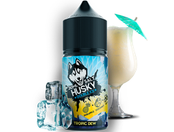 HUSKY DOUBLE ICE SALT (20 MG) 30ml - TROPIC DEW (ЛЕДЯНЫЕ АНАНАС И КОКОС)