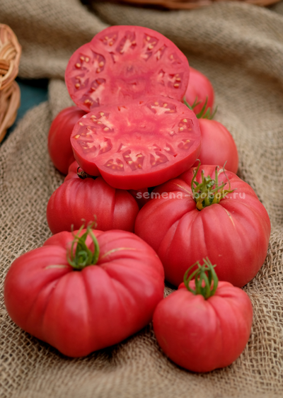 Томат Чалма Агры, 10 шт