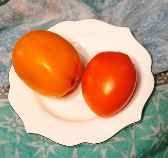 Семена томата Персик из Риги
