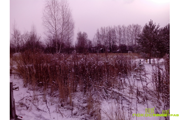 Добрыниха барыбино. Добрыниха барыбино. Добрыниха барыбино. Храм отрада и утешение в селе добрыниха. Храм отрада и утешение в добрынихе.