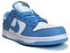 Nike Air Force 1 SB Dunk Low Unc