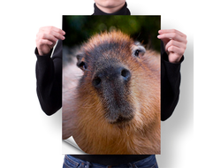 Плакат вертикальный Капибара, Kapibara-san №26