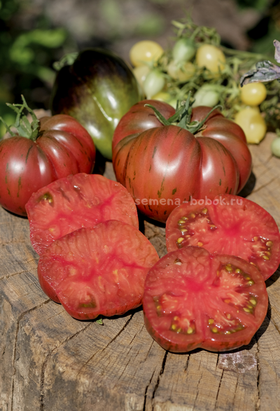 Томат Suffer Well (Саффер Вел), 10 шт