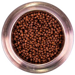 Monge Mini Starter (Монж) для щенков, беременных и кормящих собак мелких пород, из курицы 1,5 кг