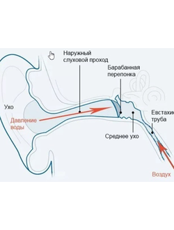 Продувание слуховых труб